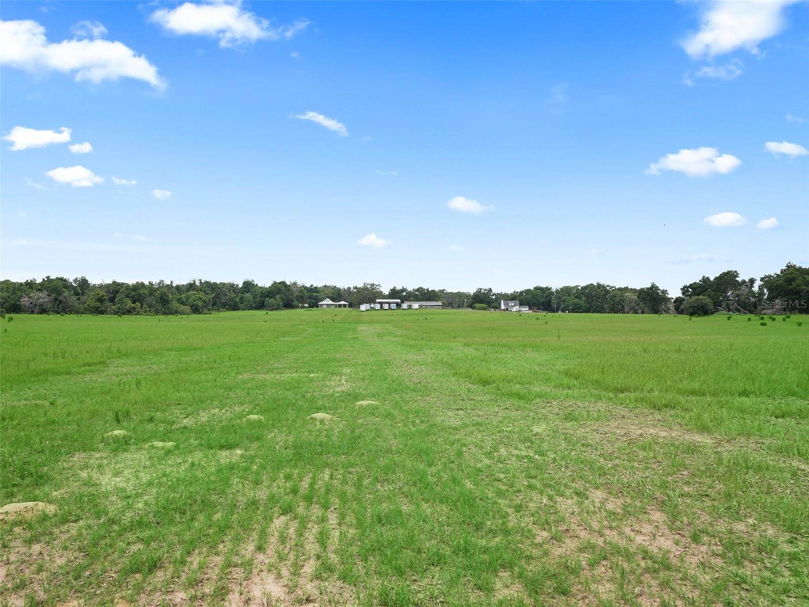 8567 CR 635, BUSHNELL, FL — photo 40