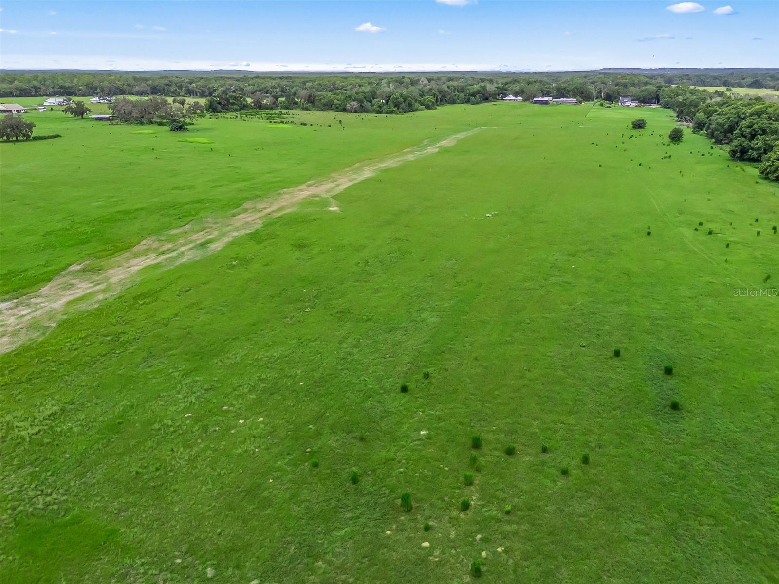 8567 CR 635, BUSHNELL, FL — photo 41