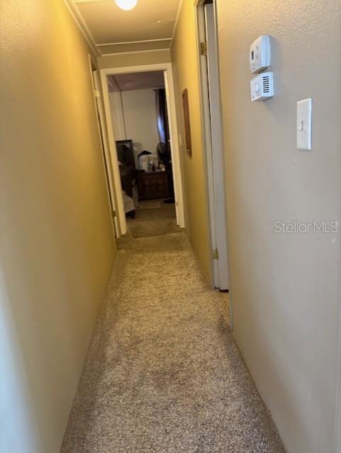29218 HECKLEMAN ST, BROOKSVILLE, FL — photo 18