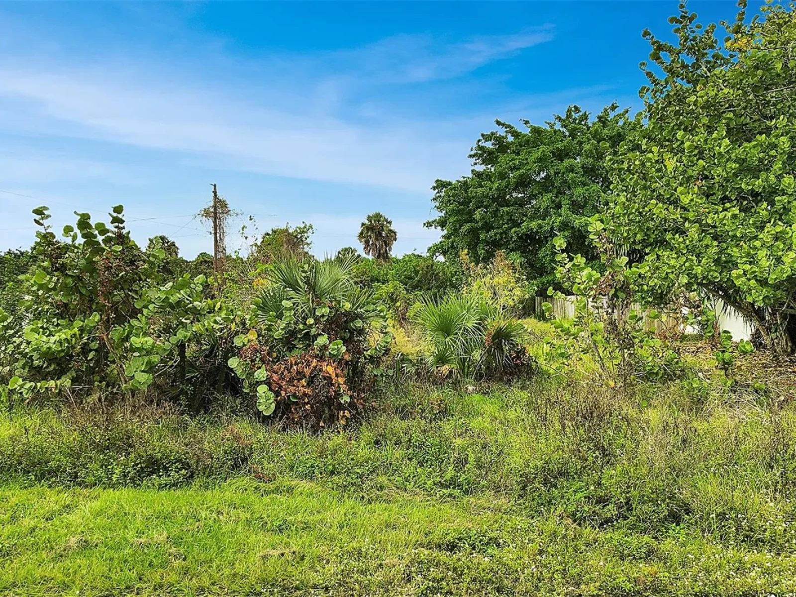 4477 HARRINGTON ST, PORT CHARLOTTE, FL — photo 11
