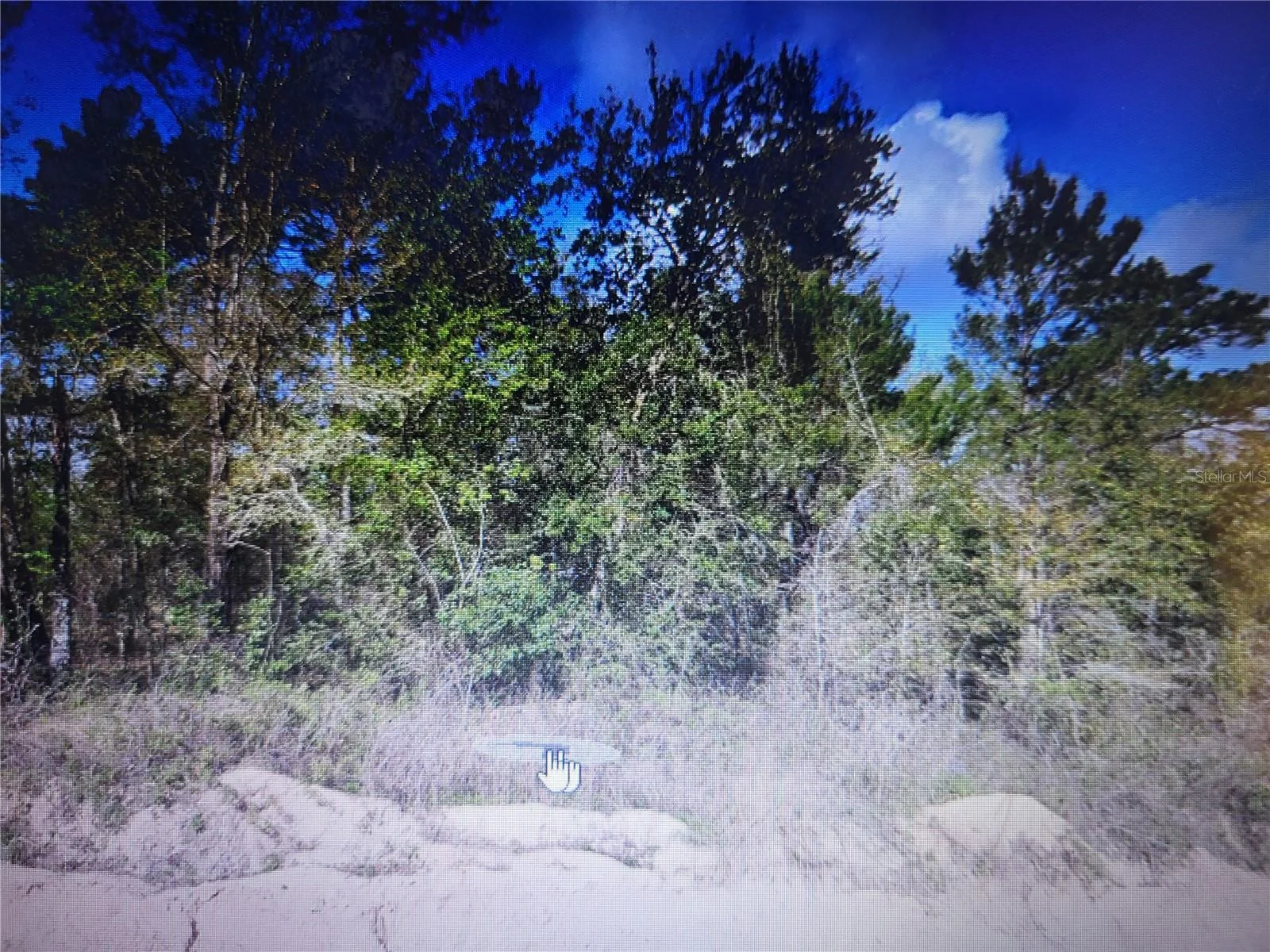 GREY, INTERLACHEN, FL — photo 1