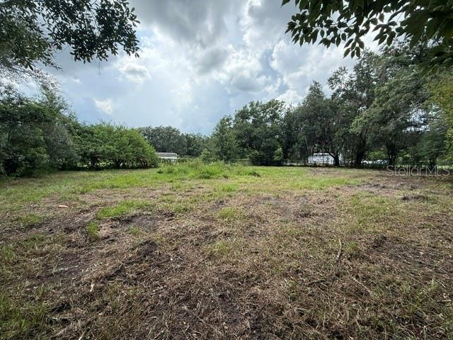 3011 S WIGGINS RD, PLANT CITY, FL — photo 4