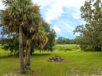 36720 EMERALDA ISLAND RD — photo 18