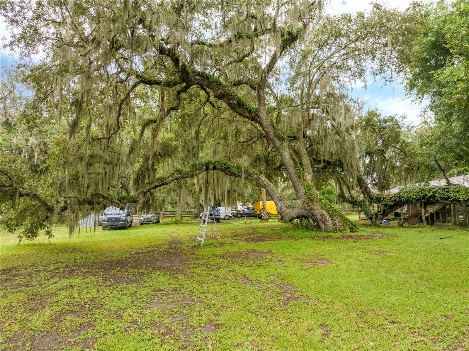 36720 EMERALDA ISLAND RD, LEESBURG, FL — photo 73