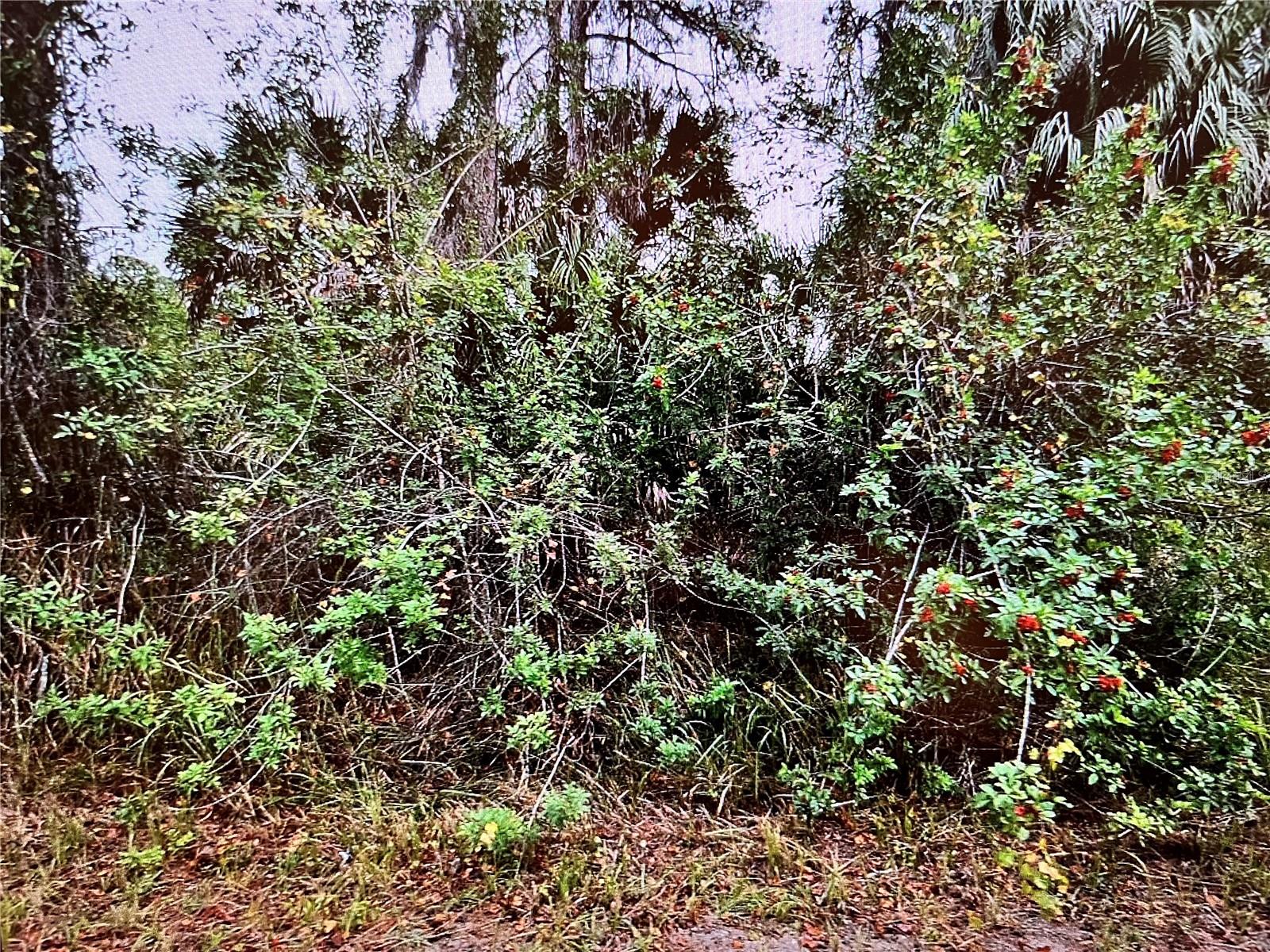 LOT 24 CAMPBELL ST, NORTH PORT, FL — photo 3