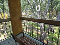 5291 IMAGES CIR #302 — photo 13