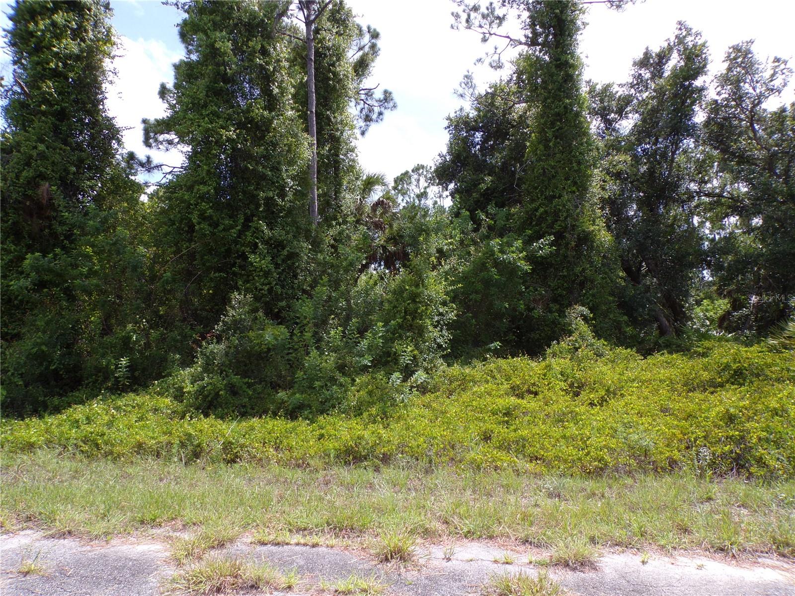 IRONSIDE ST, NORTH PORT, FL — photo 3