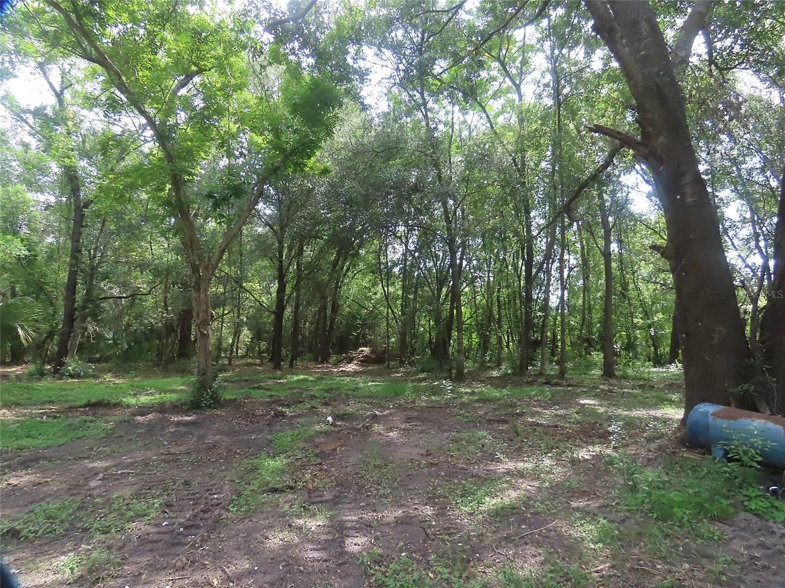32944 COUNTY ROAD 437, SORRENTO, FL — photo 8