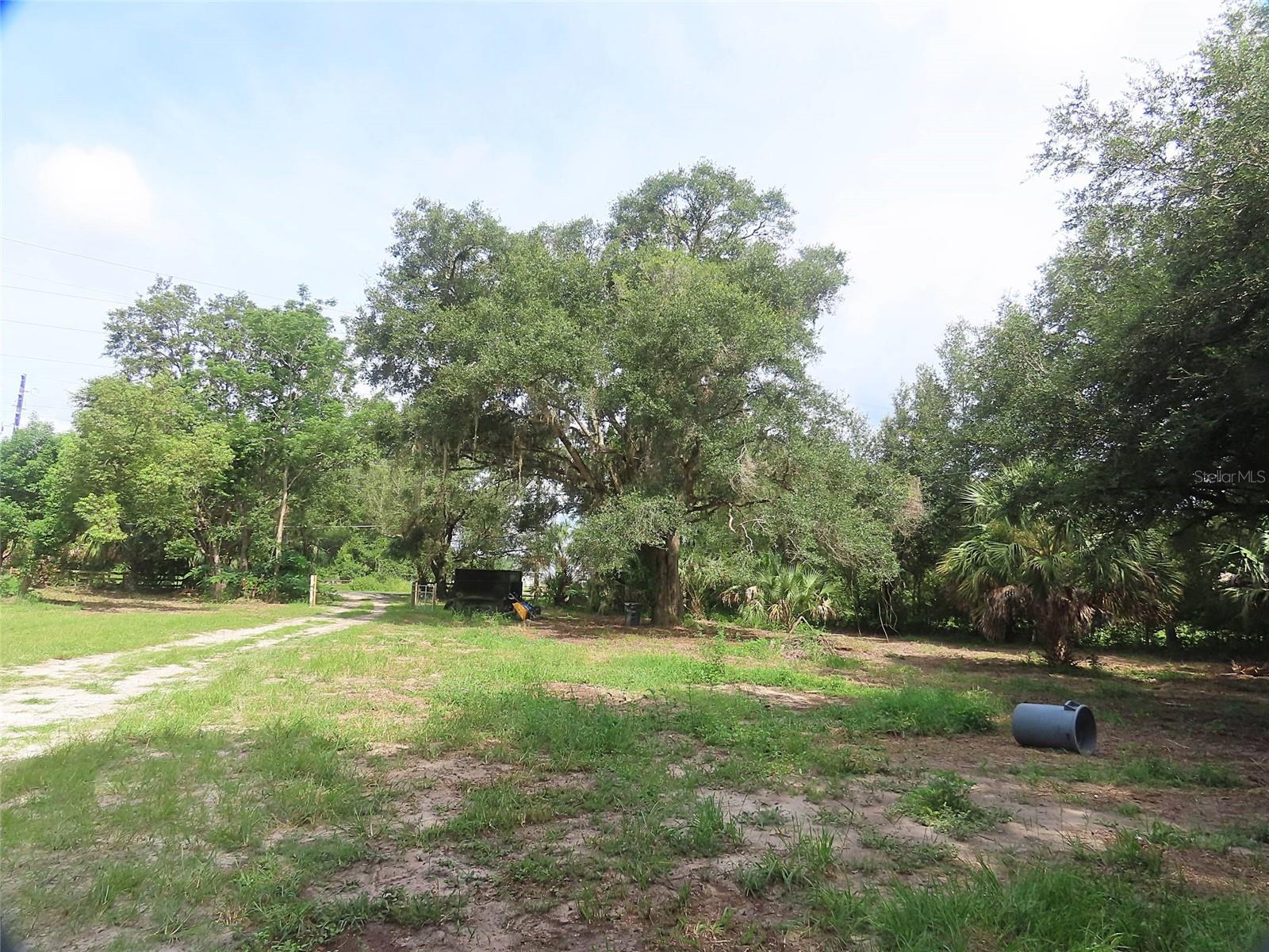 32944 COUNTY ROAD 437, SORRENTO, FL — photo 12