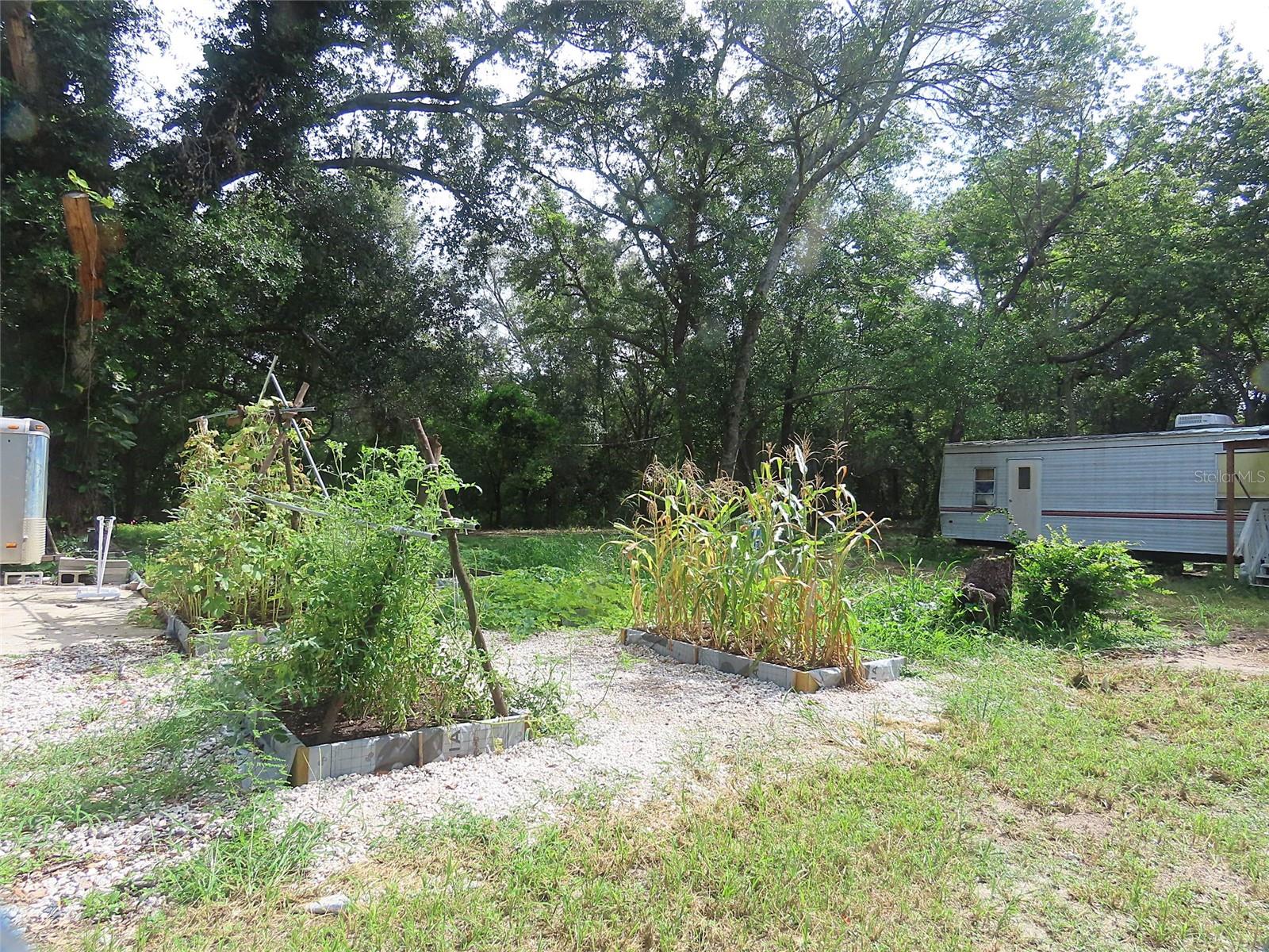 32944 COUNTY ROAD 437, SORRENTO, FL — photo 18