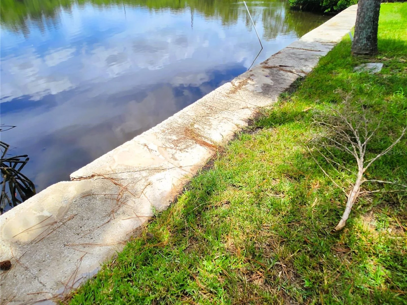 6975 EDGEWATER DR, NEW PORT RICHEY, FL — photo 4