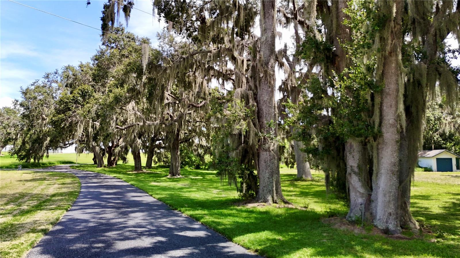 416 HANCOCK RD, LEESBURG, FL — photo 155