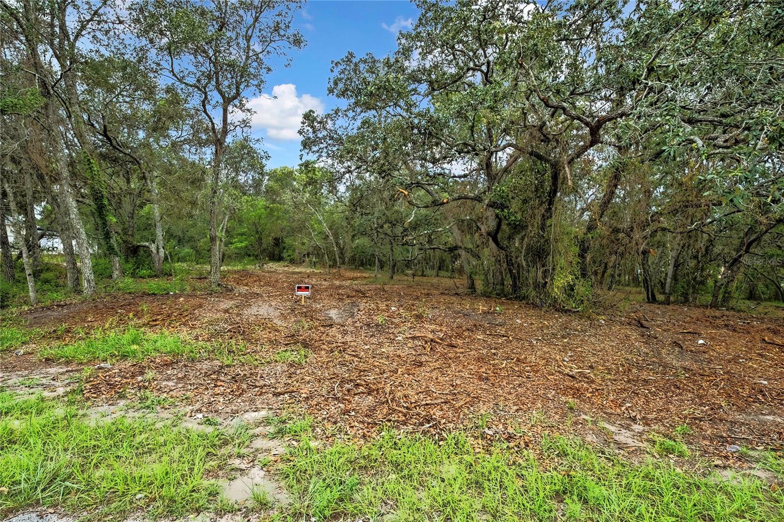 0 OLD SHADY HILLS RD, SPRING HILL, FL — photo 11