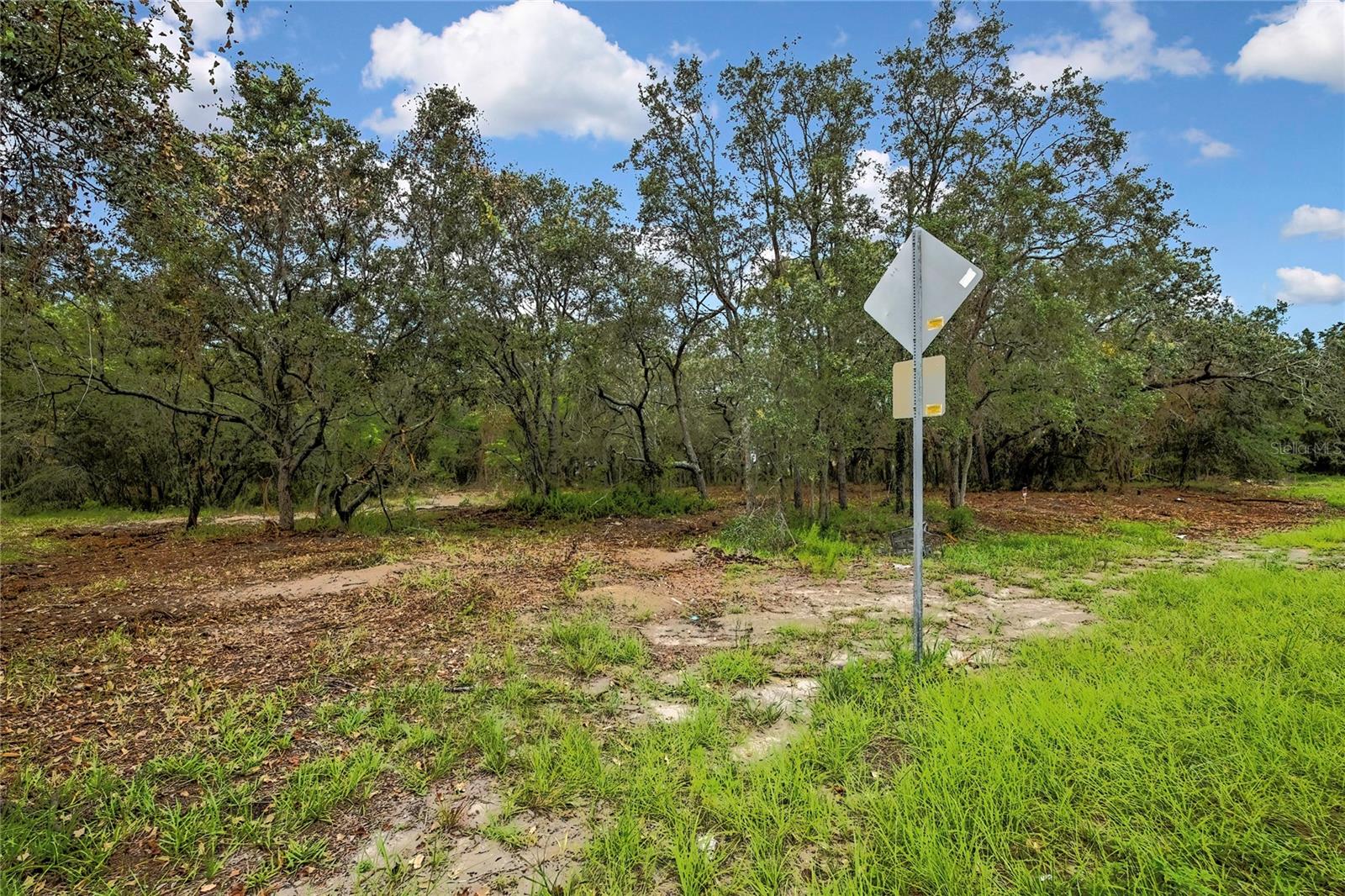 0 OLD SHADY HILLS RD, SPRING HILL, FL — photo 12