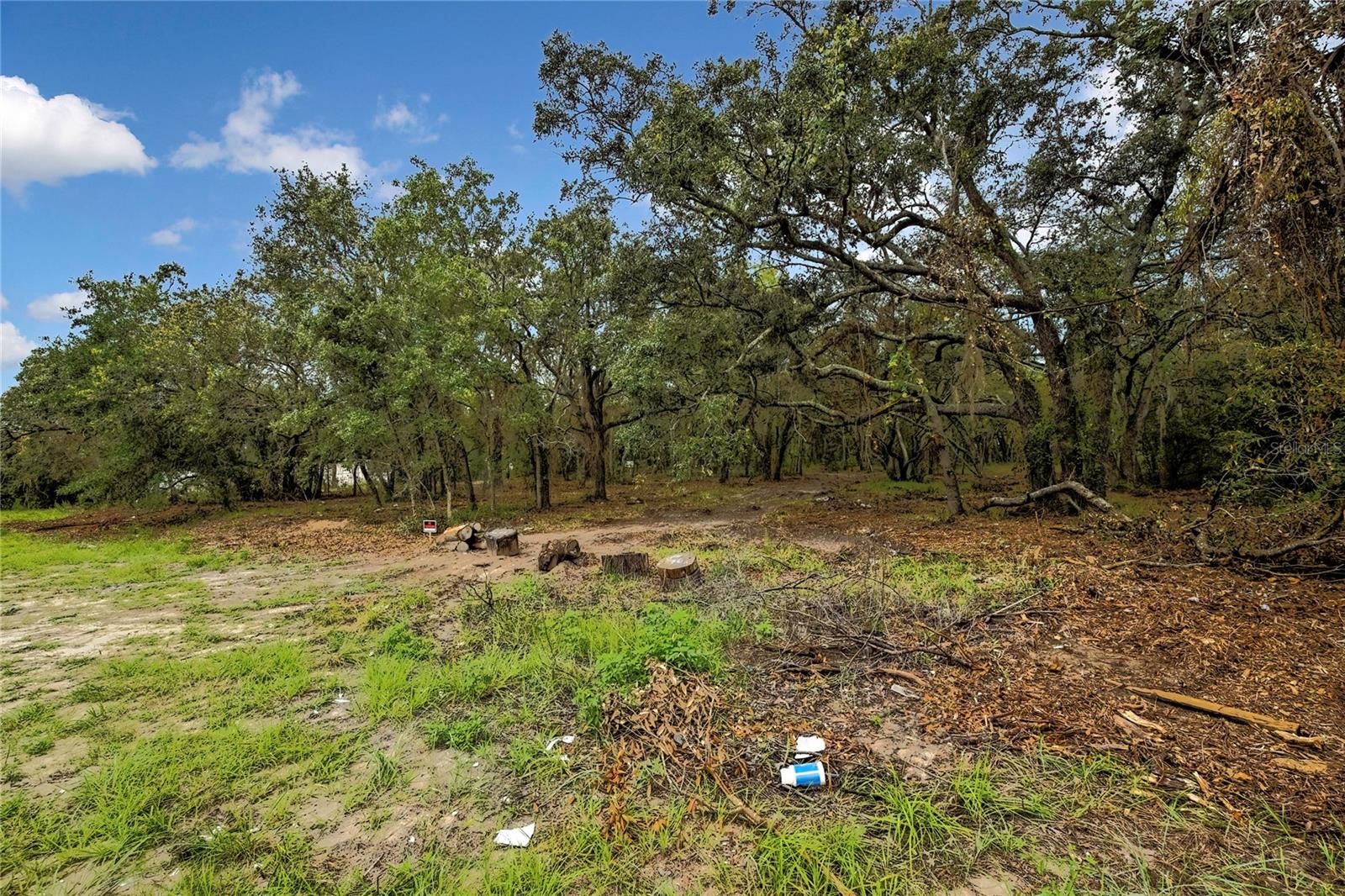 0 OLD SHADY HILLS RD, SPRING HILL, FL — photo 15
