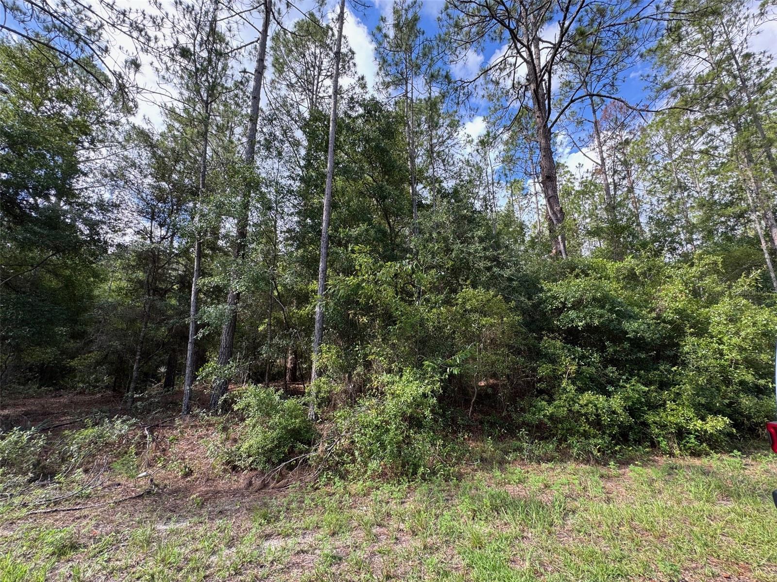 Lot#11 SW SOUTH BEACH CT, DUNNELLON, FL — photo 6
