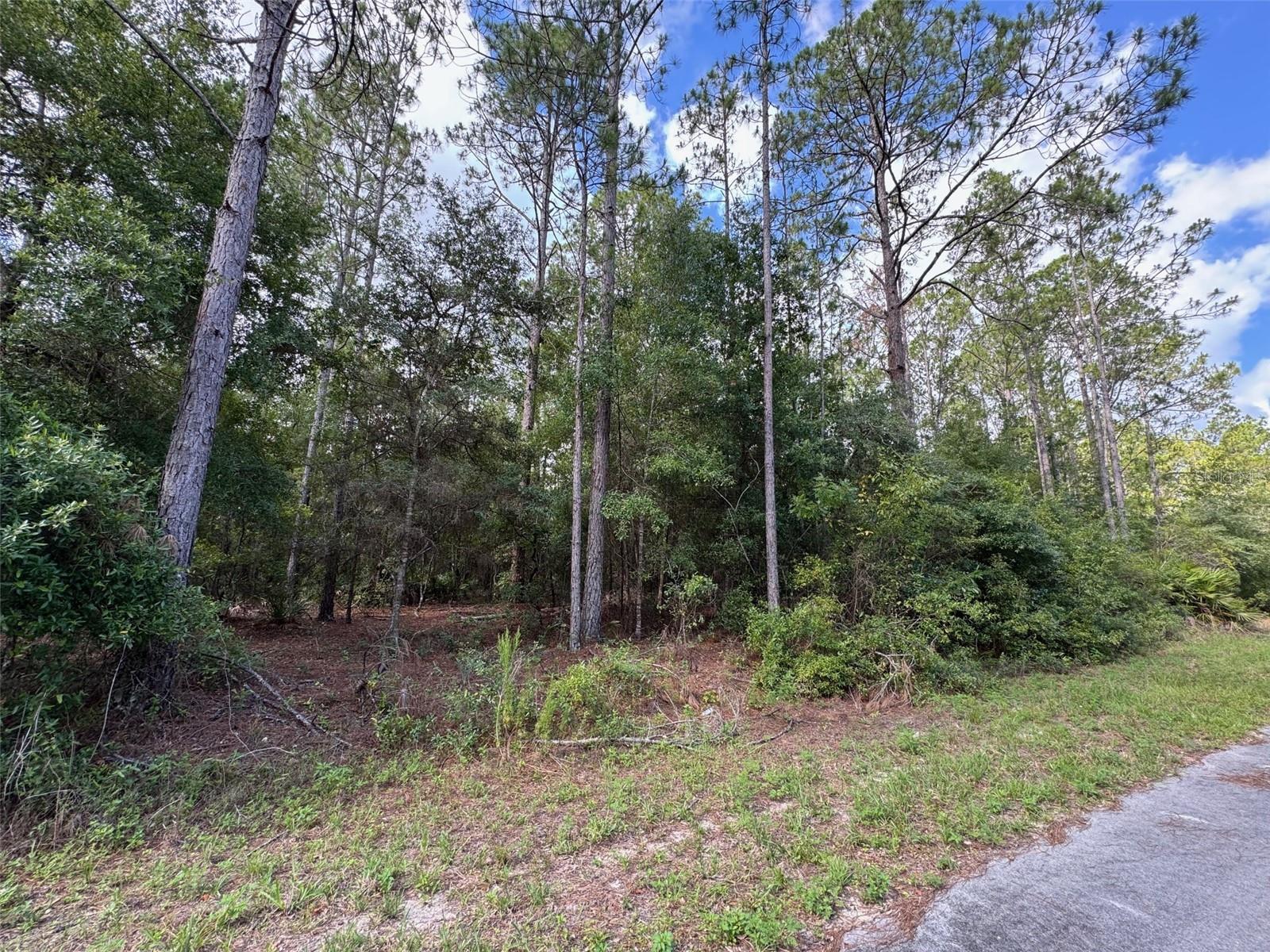 Lot#11 SW SOUTH BEACH CT, DUNNELLON, FL — photo 7