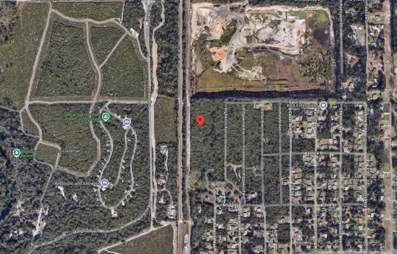 RIEGEL (PAPER) AVE, ORANGE CITY, FL — photo 4