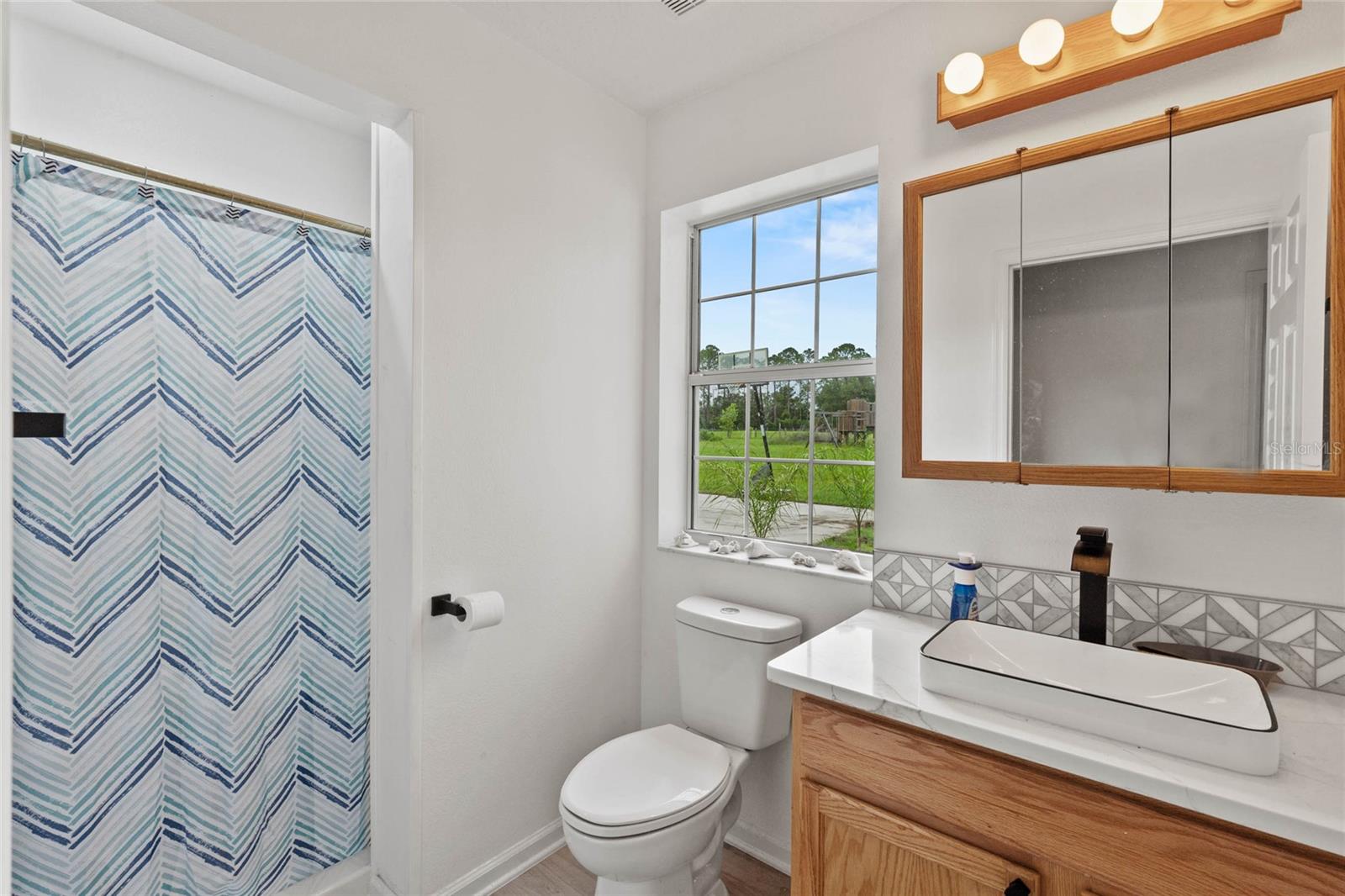 41636 OUTLAW LN, WEIRSDALE, FL — photo 62