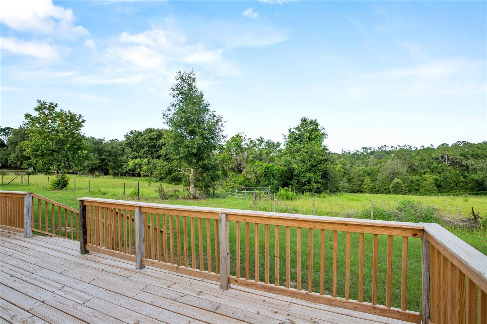 41636 OUTLAW LN, WEIRSDALE, FL — photo 77