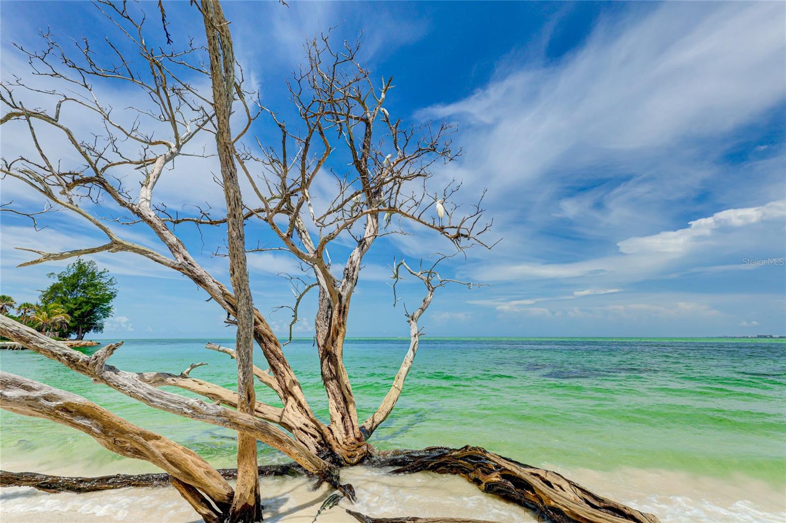 22 SANDY COVE RD #APT 10-5, SARASOTA, FL — photo 31