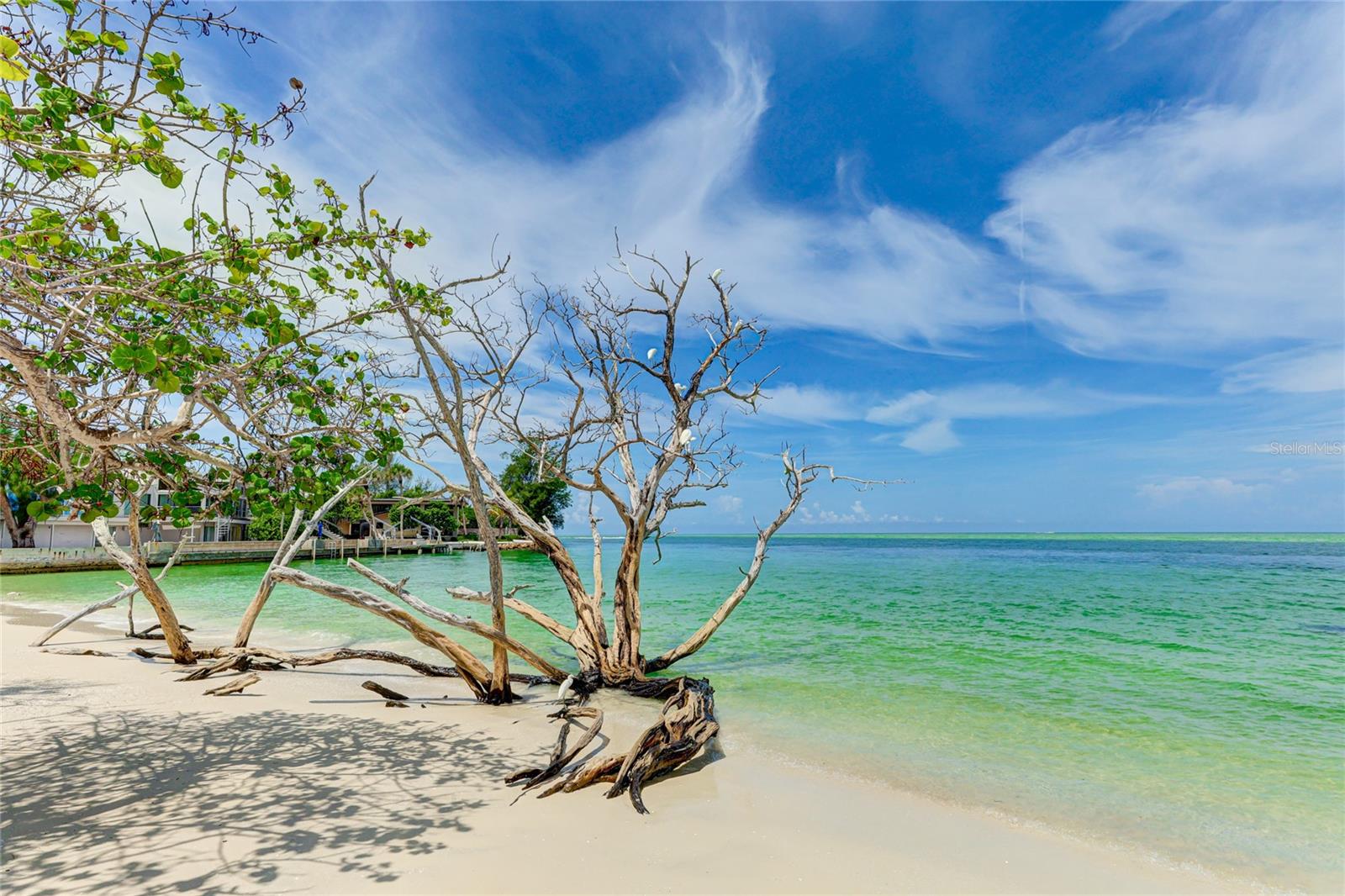 22 SANDY COVE RD #APT 10-5, SARASOTA, FL — photo 32