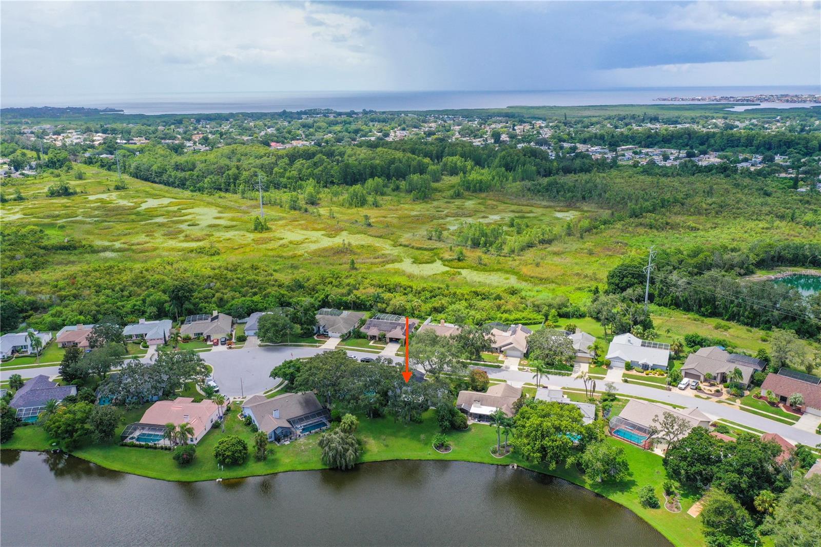 2906 WINDRIDGE DR, HOLIDAY, FL — photo 3