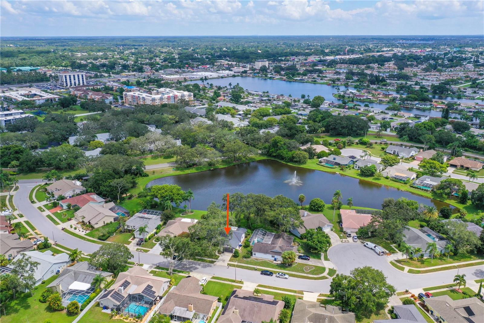 2906 WINDRIDGE DR, HOLIDAY, FL — photo 4