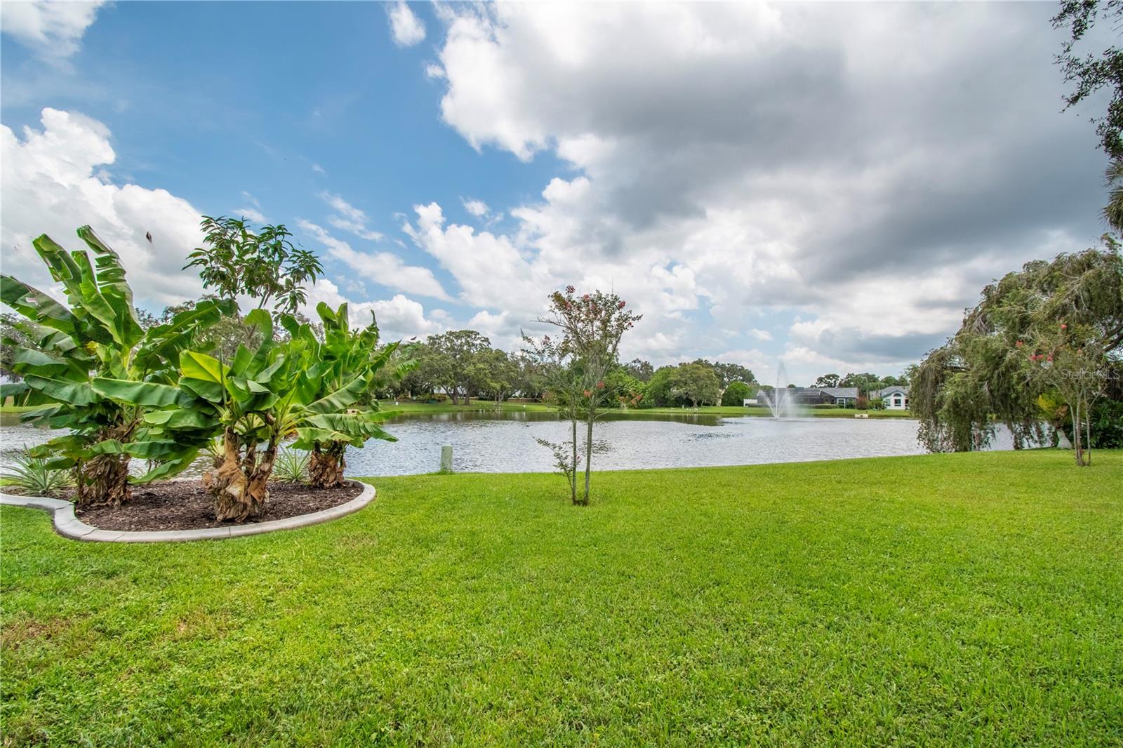 2906 WINDRIDGE DR, HOLIDAY, FL — photo 2
