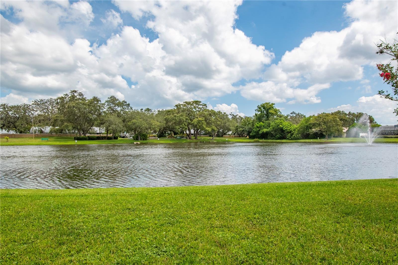 2906 WINDRIDGE DR, HOLIDAY, FL — photo 36