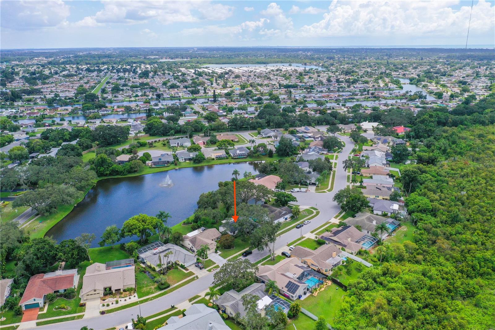 2906 WINDRIDGE DR, HOLIDAY, FL — photo 49