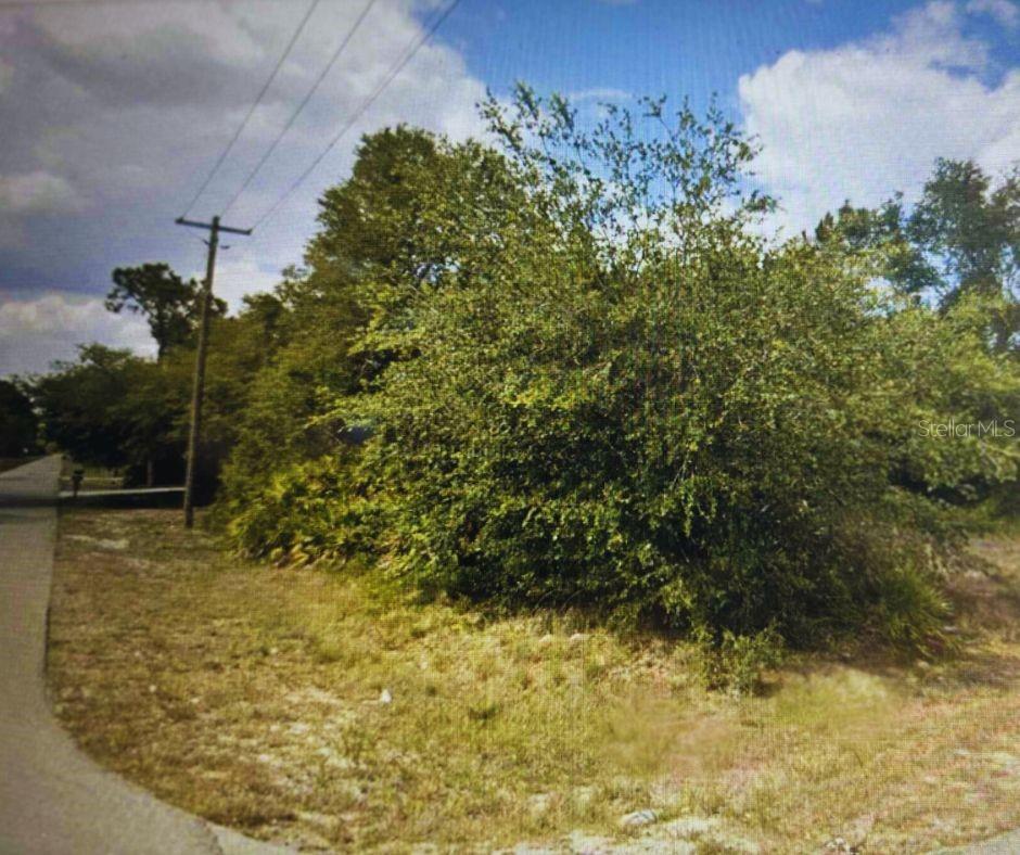 4001 E 20 ST, ALVA, FL — photo 2