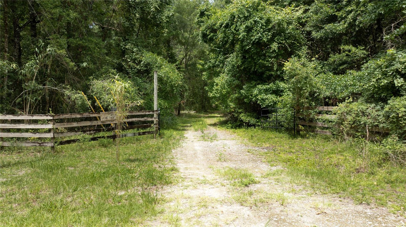 8530 NE 160TH AVE, WILLISTON, FL — photo 2