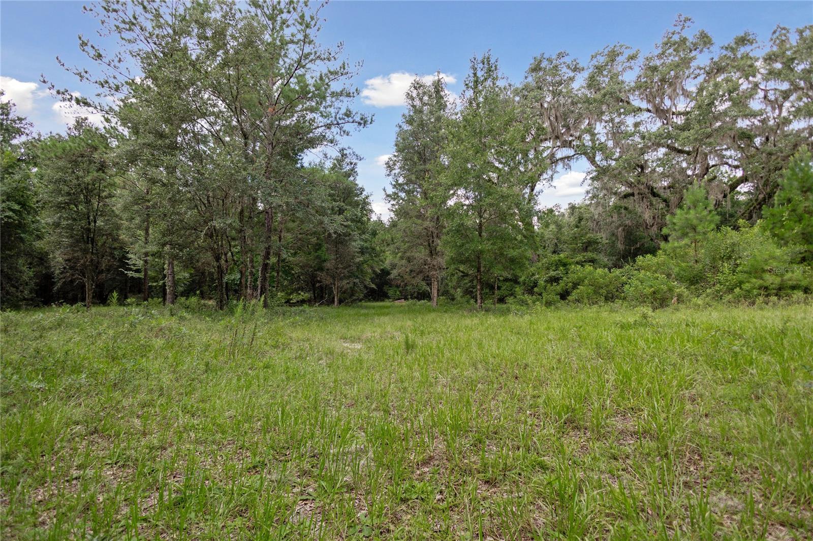 8530 NE 160TH AVE, WILLISTON, FL — photo 38