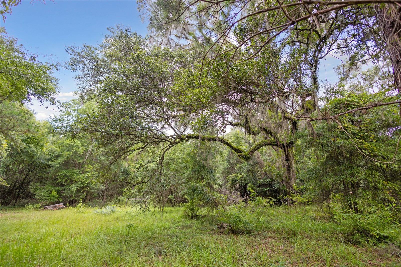 8530 NE 160TH AVE, WILLISTON, FL — photo 39