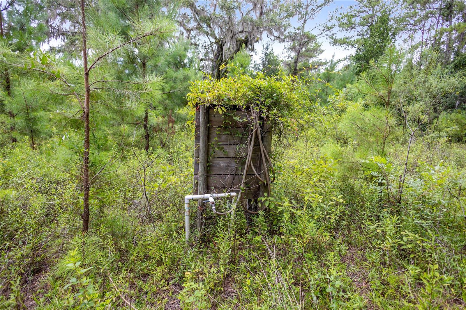 8530 NE 160TH AVE, WILLISTON, FL — photo 46