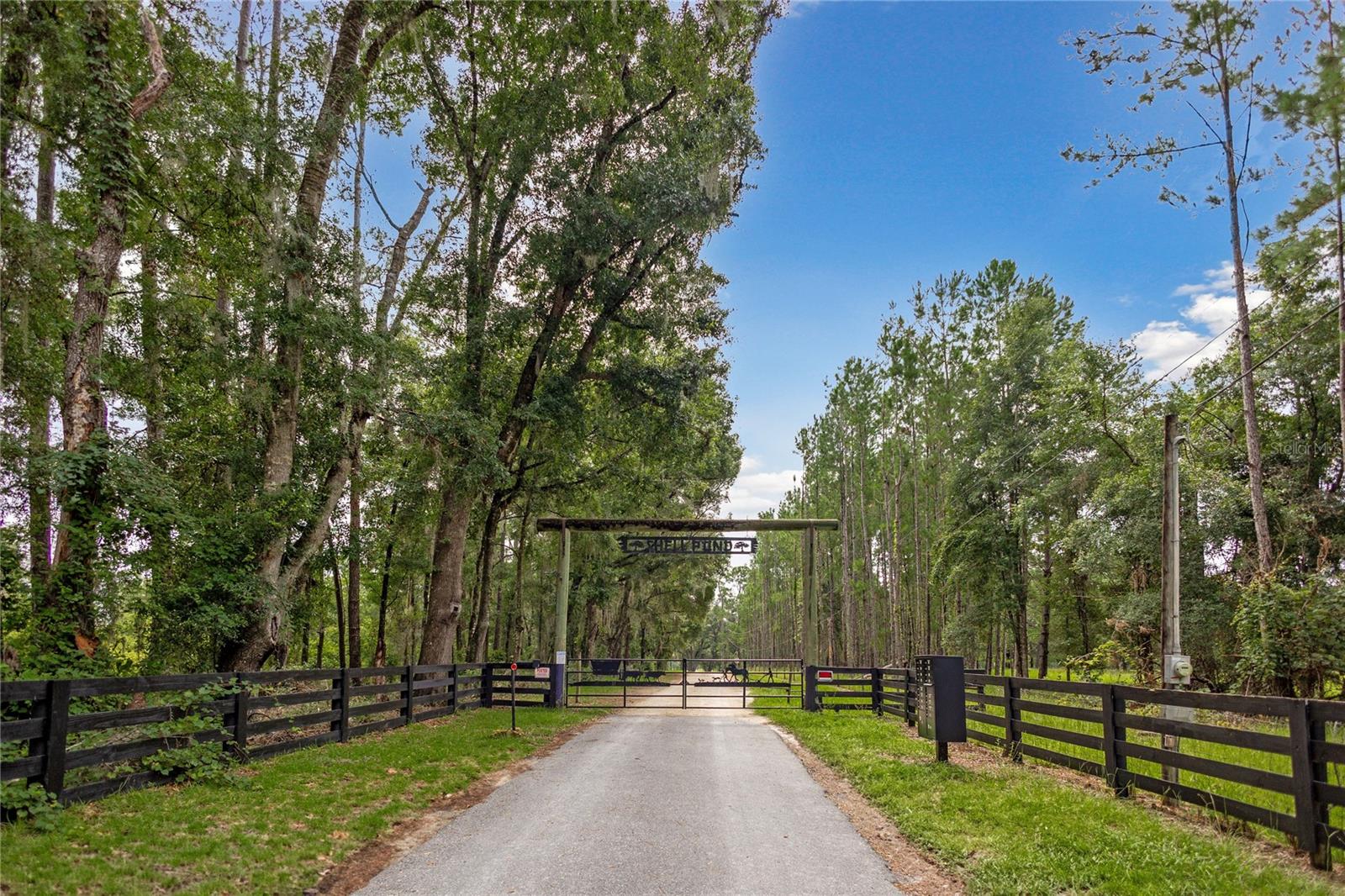 8530 NE 160TH AVE, WILLISTON, FL — photo 49