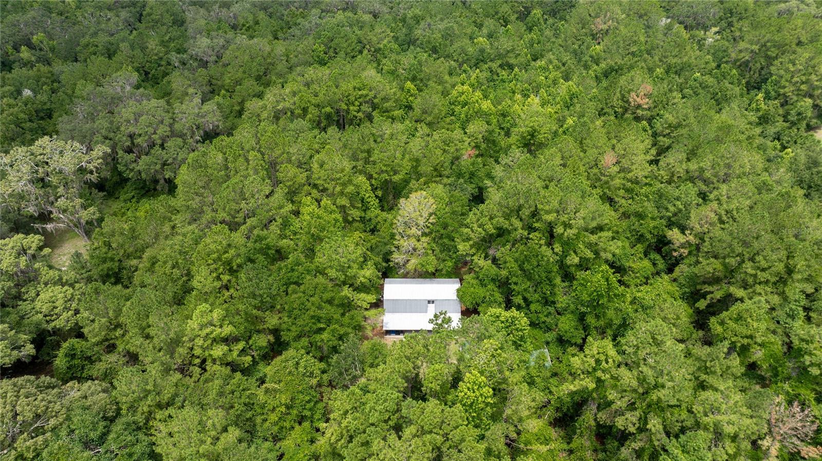 8530 NE 160TH AVE, WILLISTON, FL — photo 60
