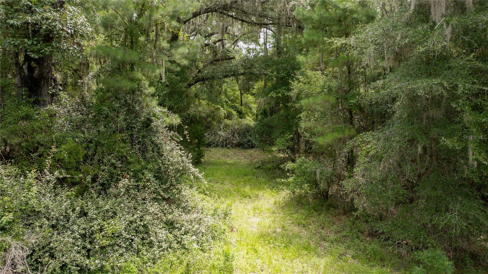 8530 NE 160TH AVE, WILLISTON, FL — photo 61