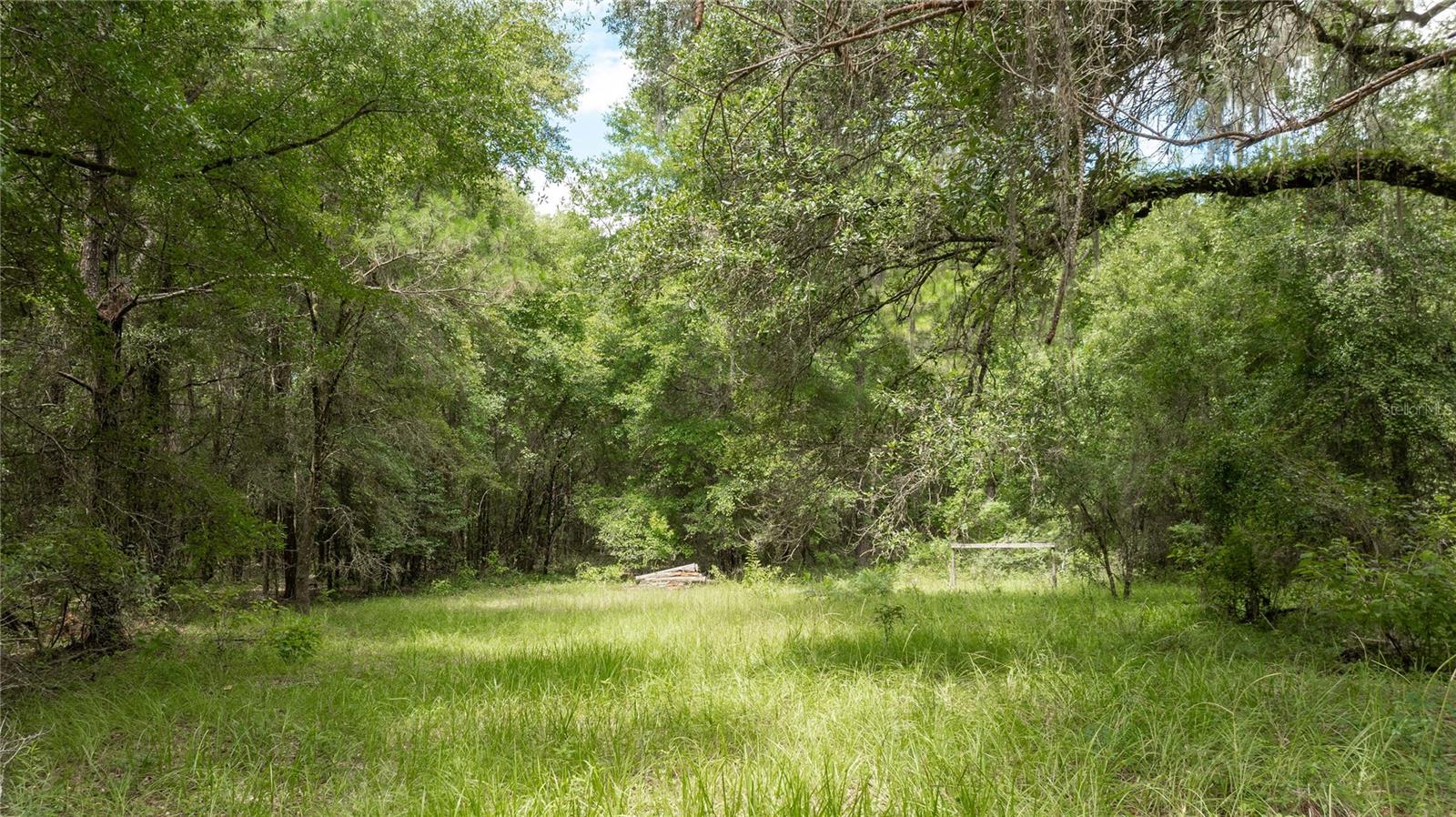 8530 NE 160TH AVE, WILLISTON, FL — photo 64