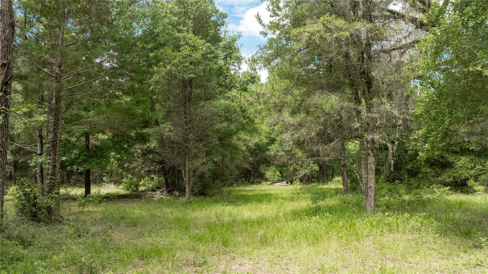 8530 NE 160TH AVE, WILLISTON, FL — photo 65