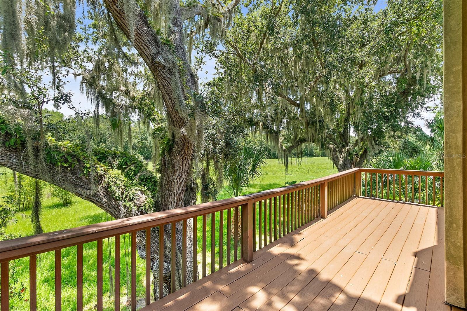 14951 ANDALUSIA TRL, BUNNELL, FL — photo 91