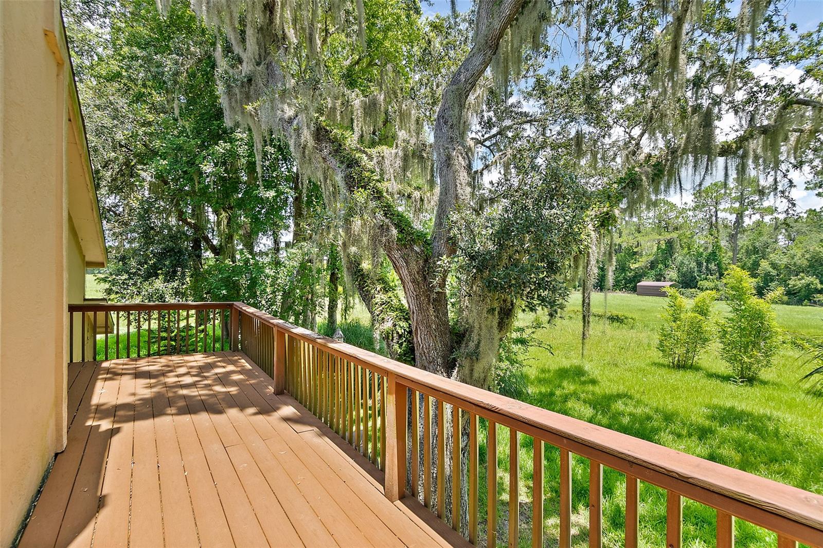 14951 ANDALUSIA TRL, BUNNELL, FL — photo 92