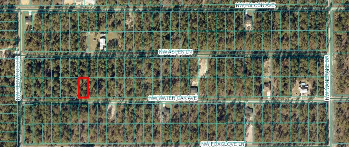 TBD NW WATER OAK, LOT 60, DUNNELLON, FL