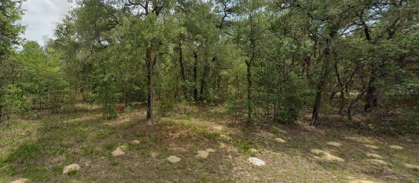 6455 N WHISPERING DR, CITRUS SPRINGS, FL