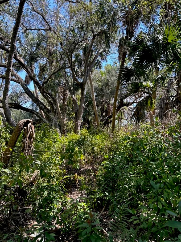 7022 RIVERSIDE DR, PUNTA GORDA, FL — photo 11