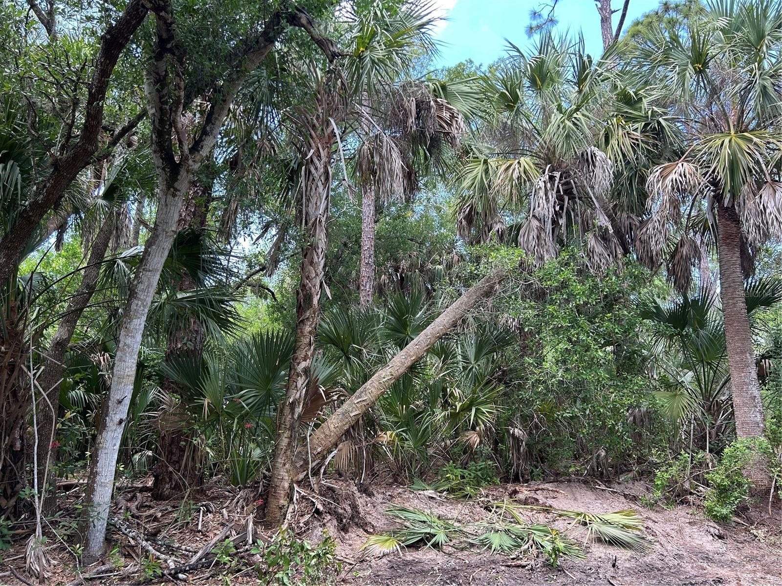 7022 RIVERSIDE DR, PUNTA GORDA, FL — photo 4