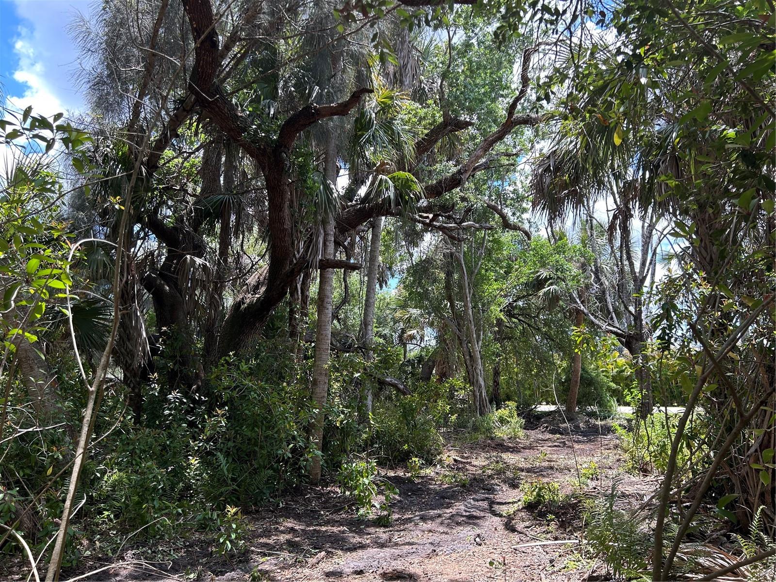 7022 RIVERSIDE DR, PUNTA GORDA, FL — photo 8