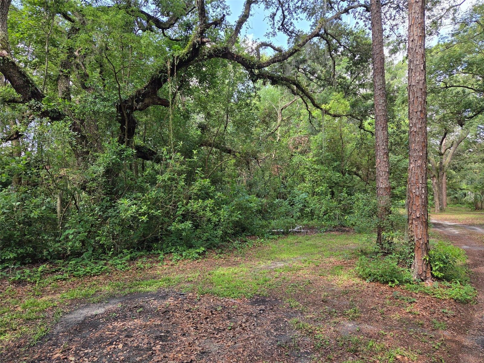 37742 GLADES LN, ZEPHYRHILLS, FL — photo 6