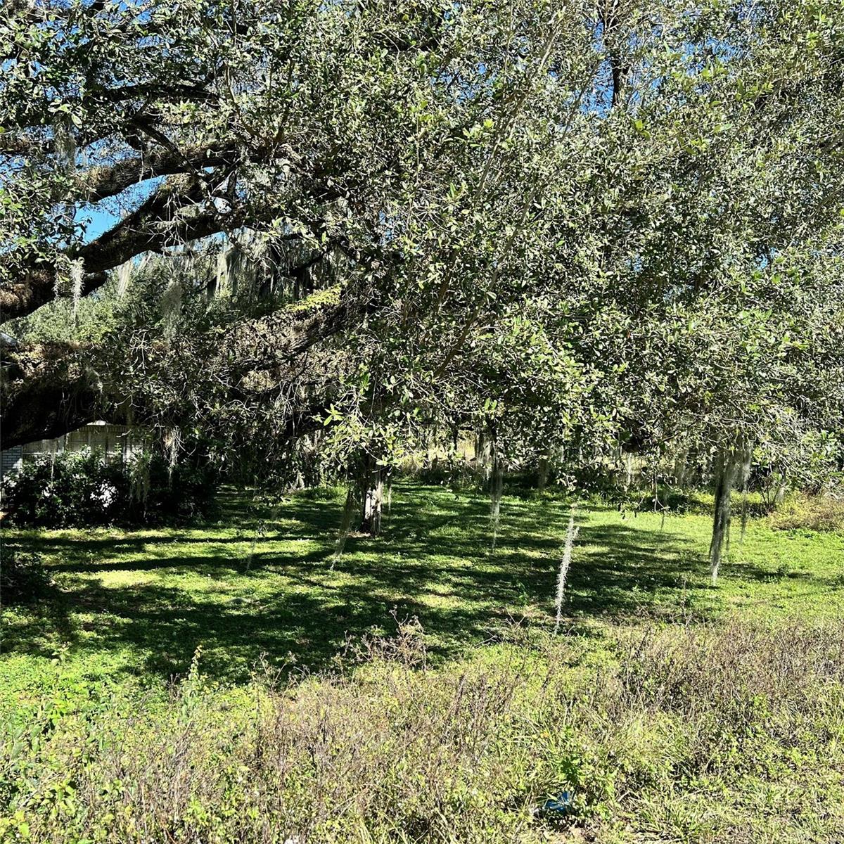 4504 E COUNTY ROAD 540A, LAKELAND, FL — photo 6